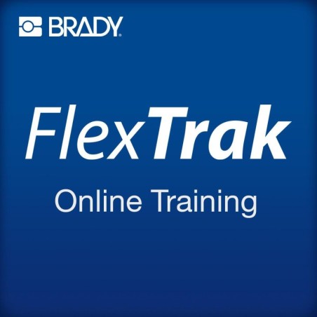 FLEX-TRAIN-ONLINE