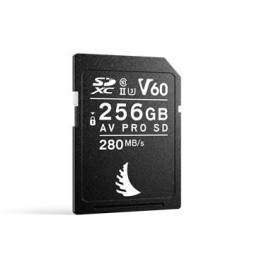 AVP256SDMK2V60