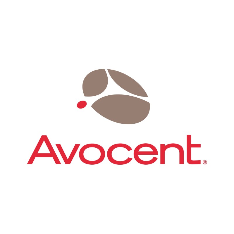 SCNT-1YGLD-A-100PK SCNT-1YGLD-A-100PK