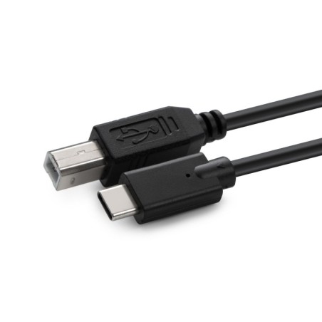 USB3.1C2B1