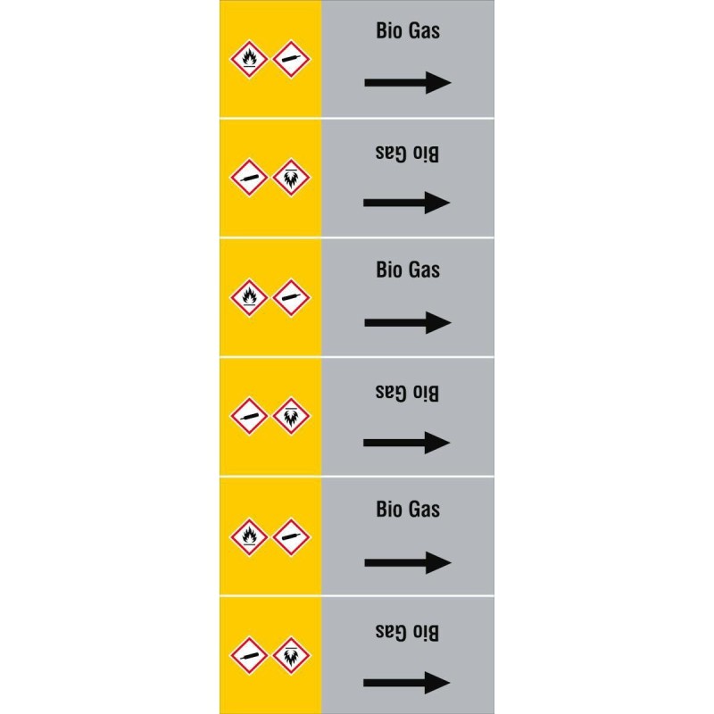 ISO20560PM-135X350-BIO GAS