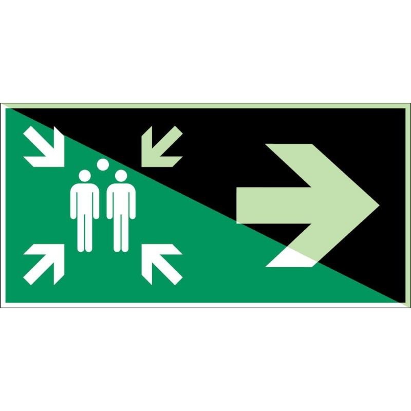 E/E007/A90/NT-SA-PHOLUMB-300X150/1-B