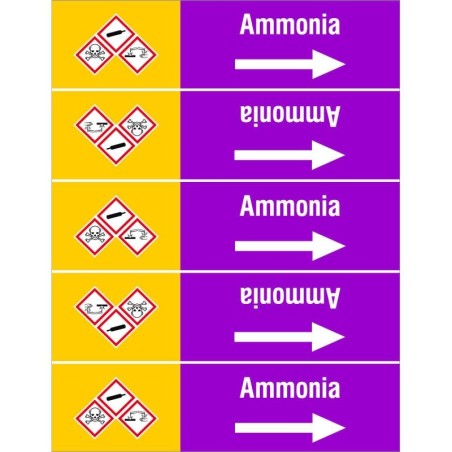 ISO20560PM-135X175-AMMONIA