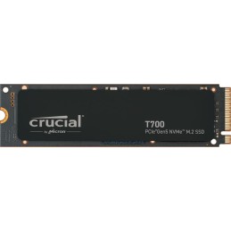 CT1000T700SSD3