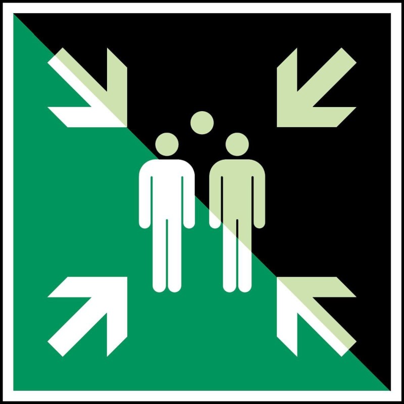 E/E007/NT-SA-PHOLUMC-600X600/1-B