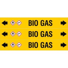 ASMEPM-37X230MM-BIO_GAS