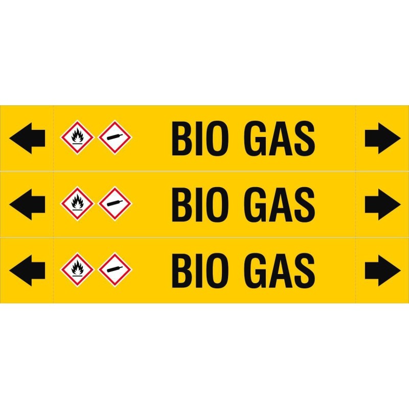 ASMEPM-37X230MM-BIO_GAS