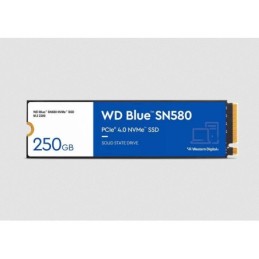 WDS250G3B0E-00CHF0