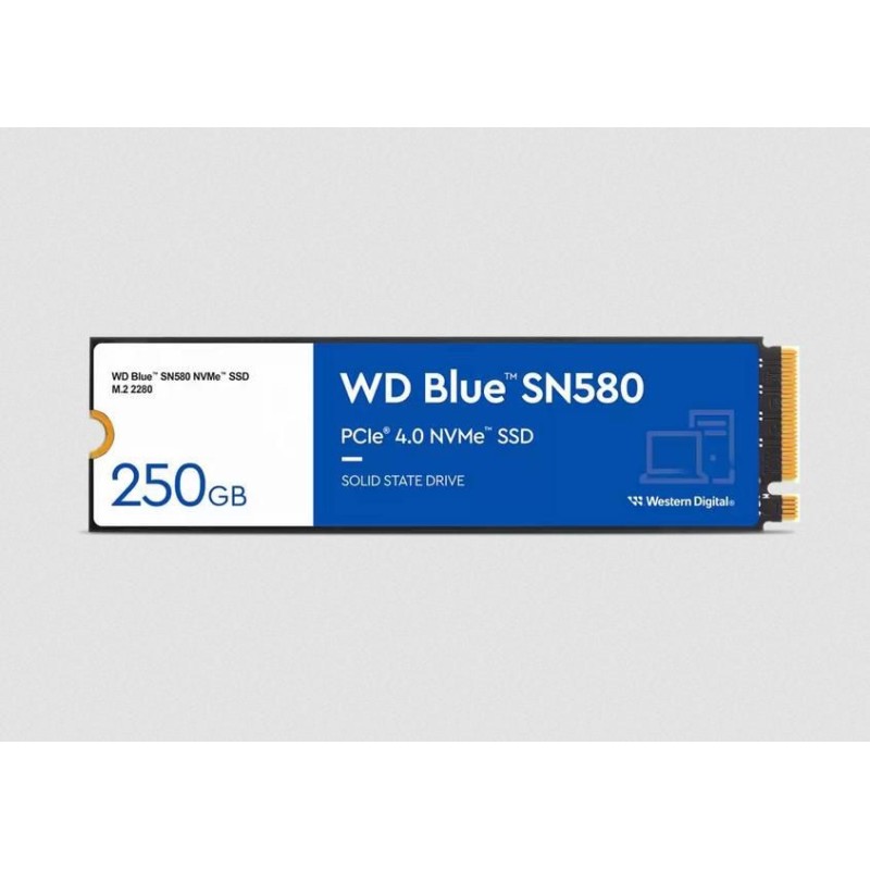 WDS250G3B0E-00CHF0