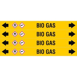 ASMEPM-26X230MM-BIO_GAS
