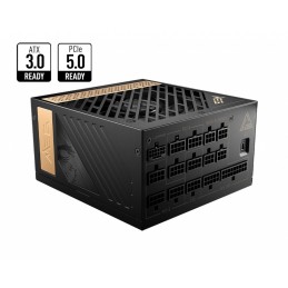 MEG AI1300P PCIE5