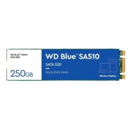 WDS250G3B0B-00AXS0