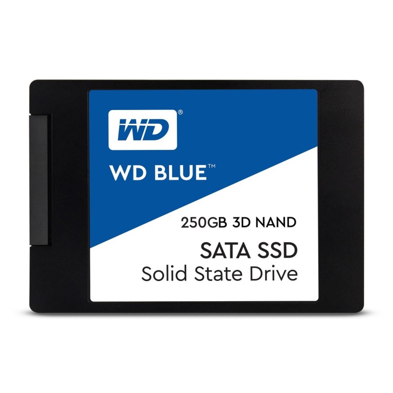 WDS250G2B0A