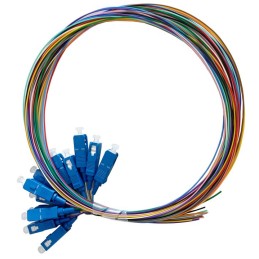 LVO-PIG-SCUPC-12CORE-OS2-2M