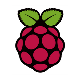 RASPBERRY-PI-4-4GB