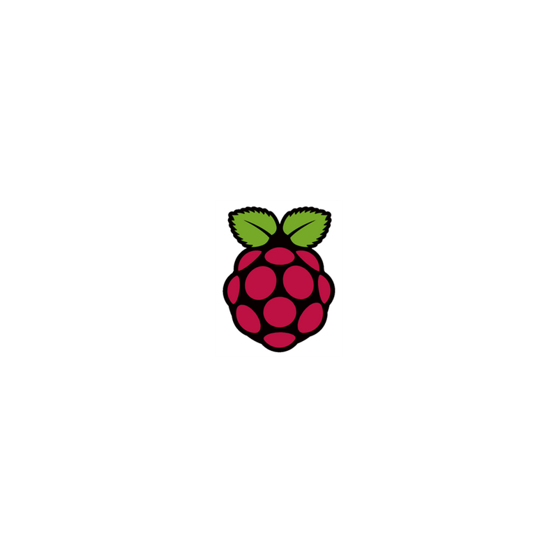 RASPBERRY-PI-4-4GB