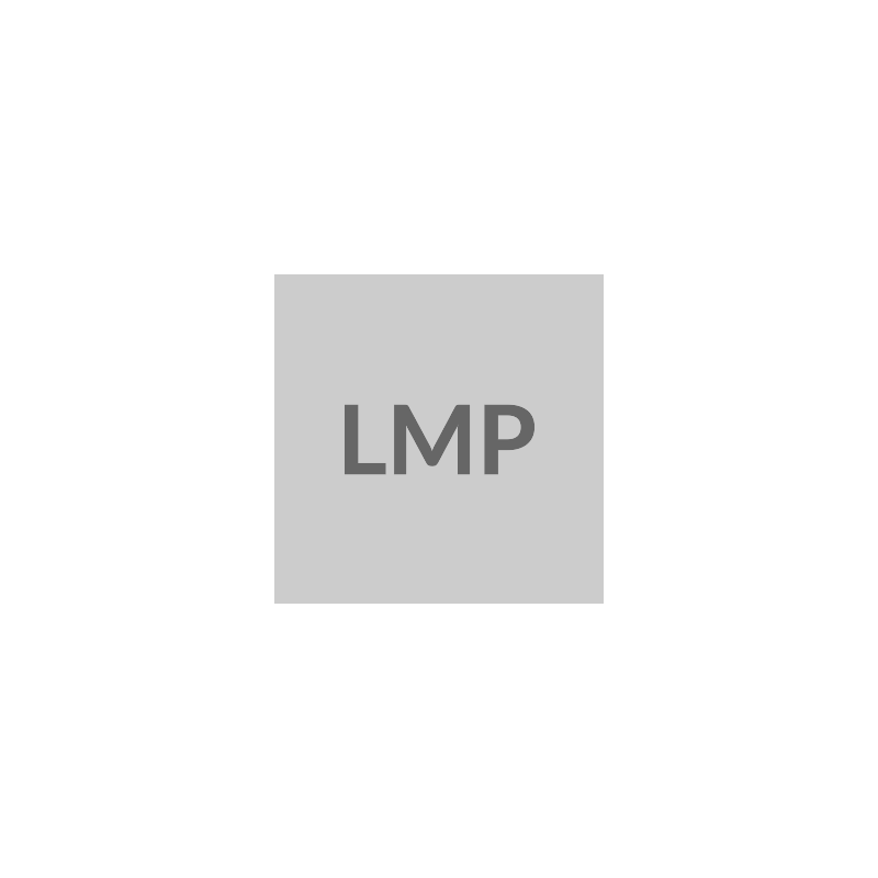 LMP-USBC-MDOCK-SG