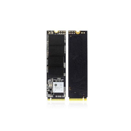 MS-SSD-256GB-010