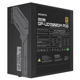 GP-UD1300GM PG5