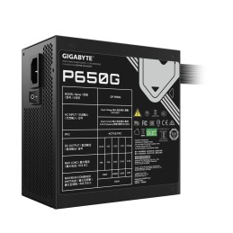 GP-P650G