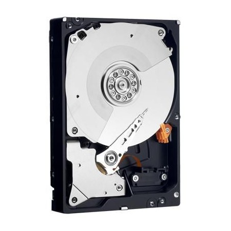 WD1002FBYS-RFB