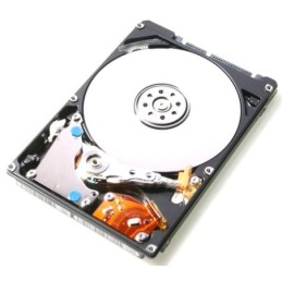 HTS543216L9A300 _ RFB