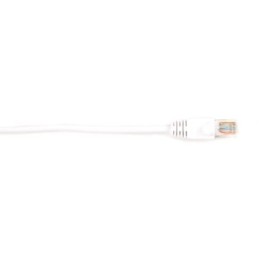 CAT6PC-006-WH