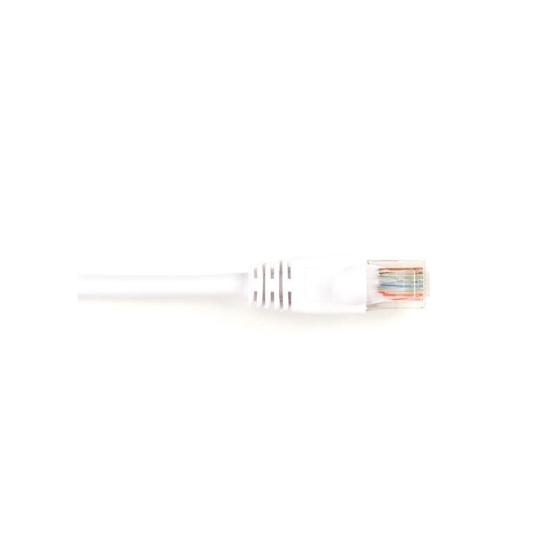 CAT6PC-007-WH