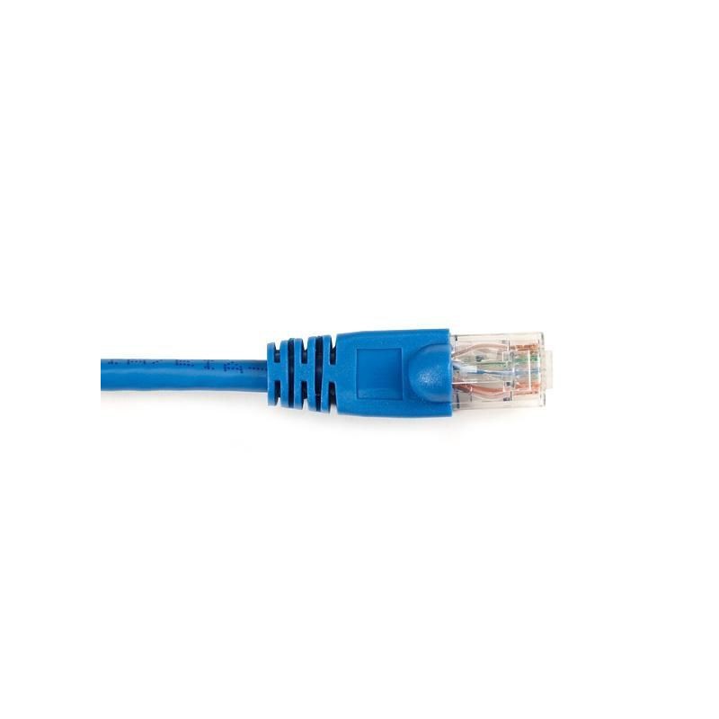 CAT6PC-025-BL