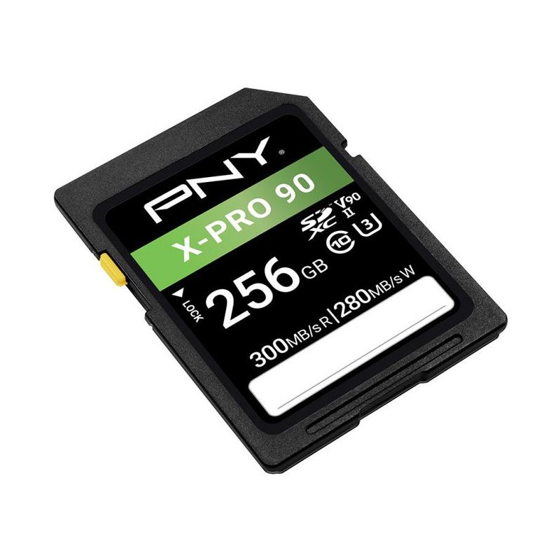 P-SD256V90300XPRO9-GE