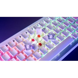 TBK-3101-12-DE