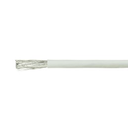 CPV0055