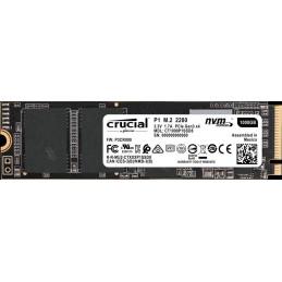 CT1000P1SSD8
