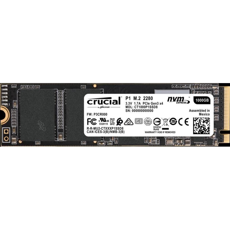 CT1000P1SSD8