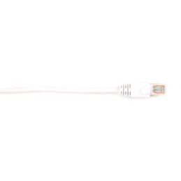 CAT6PC-006-WH