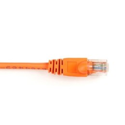 CAT6PC-007-OR