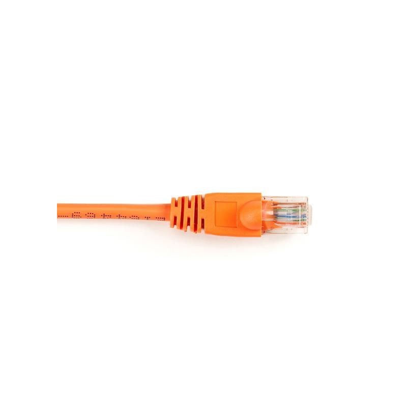 CAT6PC-007-OR